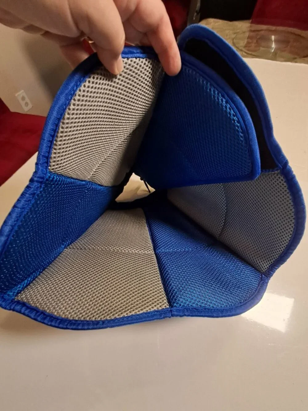 Soft Padded Dog Recovery Cone Blue Adjustable Size L